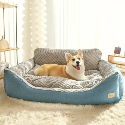 Small to Extra Large Pet Beds