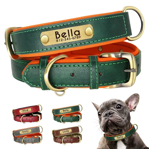 Nameplate Dog Collar