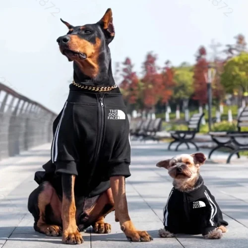 Winter Spring Dog Hoodies