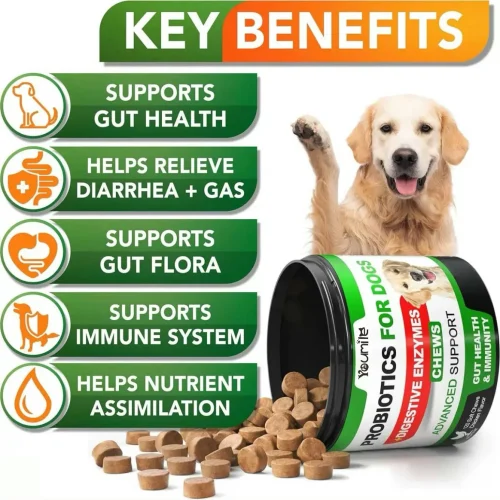 Probiotics for Dogs