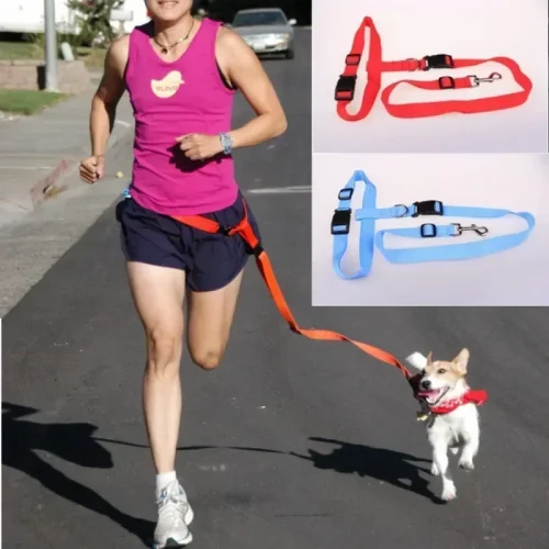 Waist Jogging Dog Leash