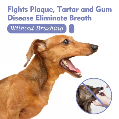 Pet Teeth Stain Remover
